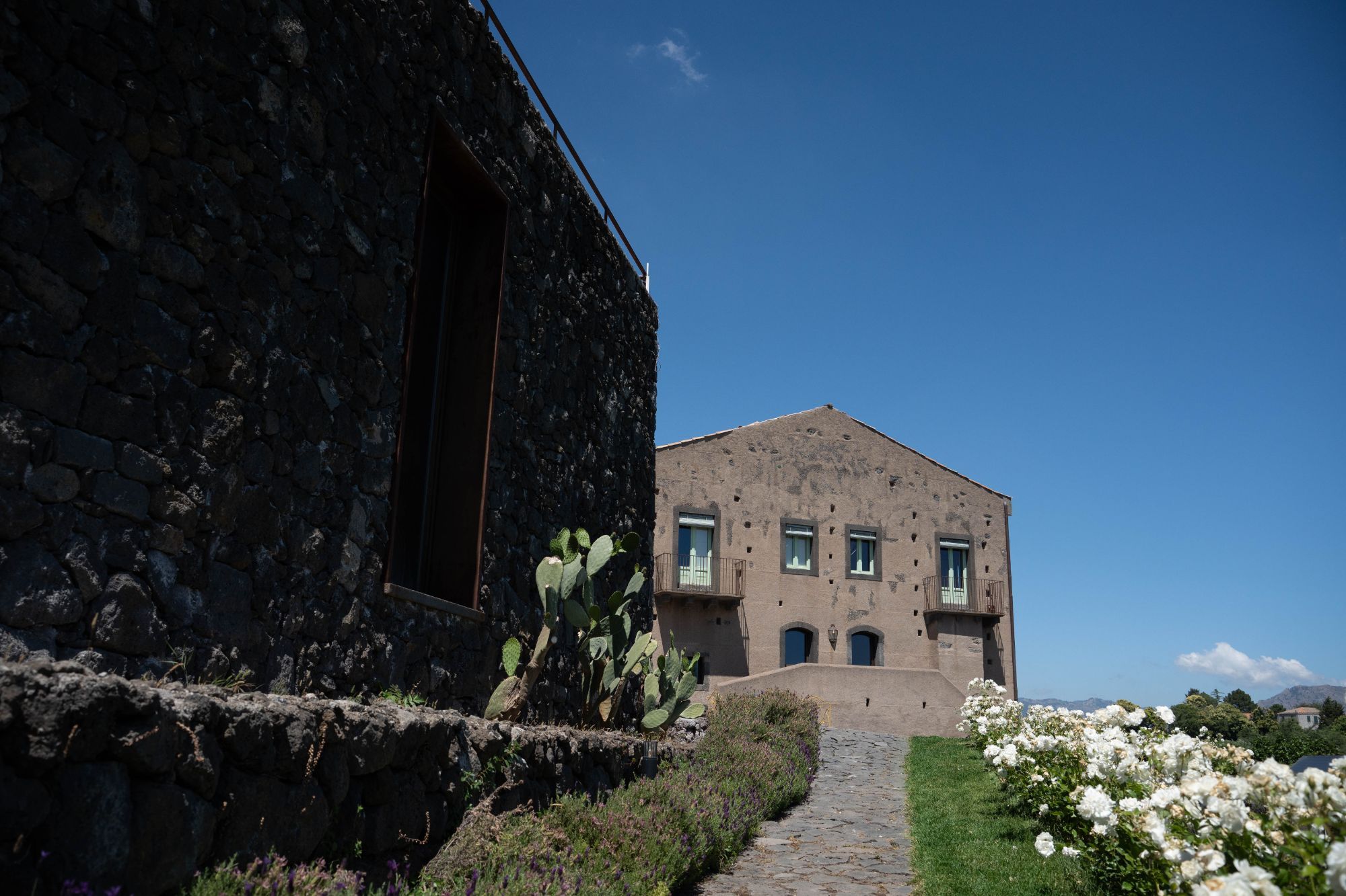 Masseria in pietra lavica sull’Etna, con fichi d’India, rose bianche e un sentiero in ciottoli sotto un cielo blu